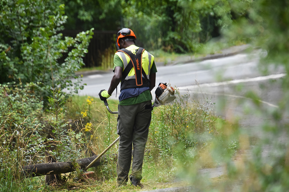 Nouvelles photos sur notre site internet